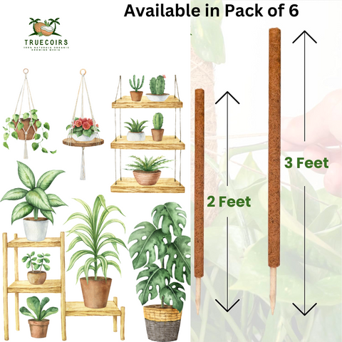 Organic Coco Coir poles for plants
