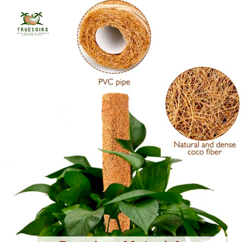 Premium Coco Coir Pole for Plant